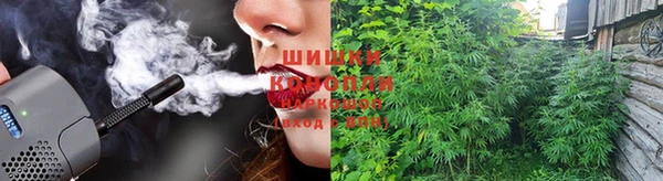 дурь Осинники