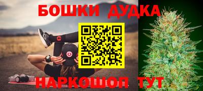 прущие грибы Канаш