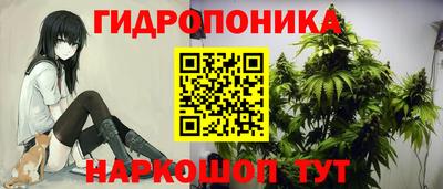 прущие грибы Канаш