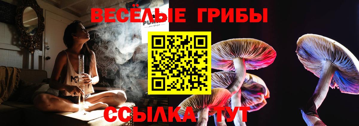 Псилоцибиновые грибы мицелий Арсеньев